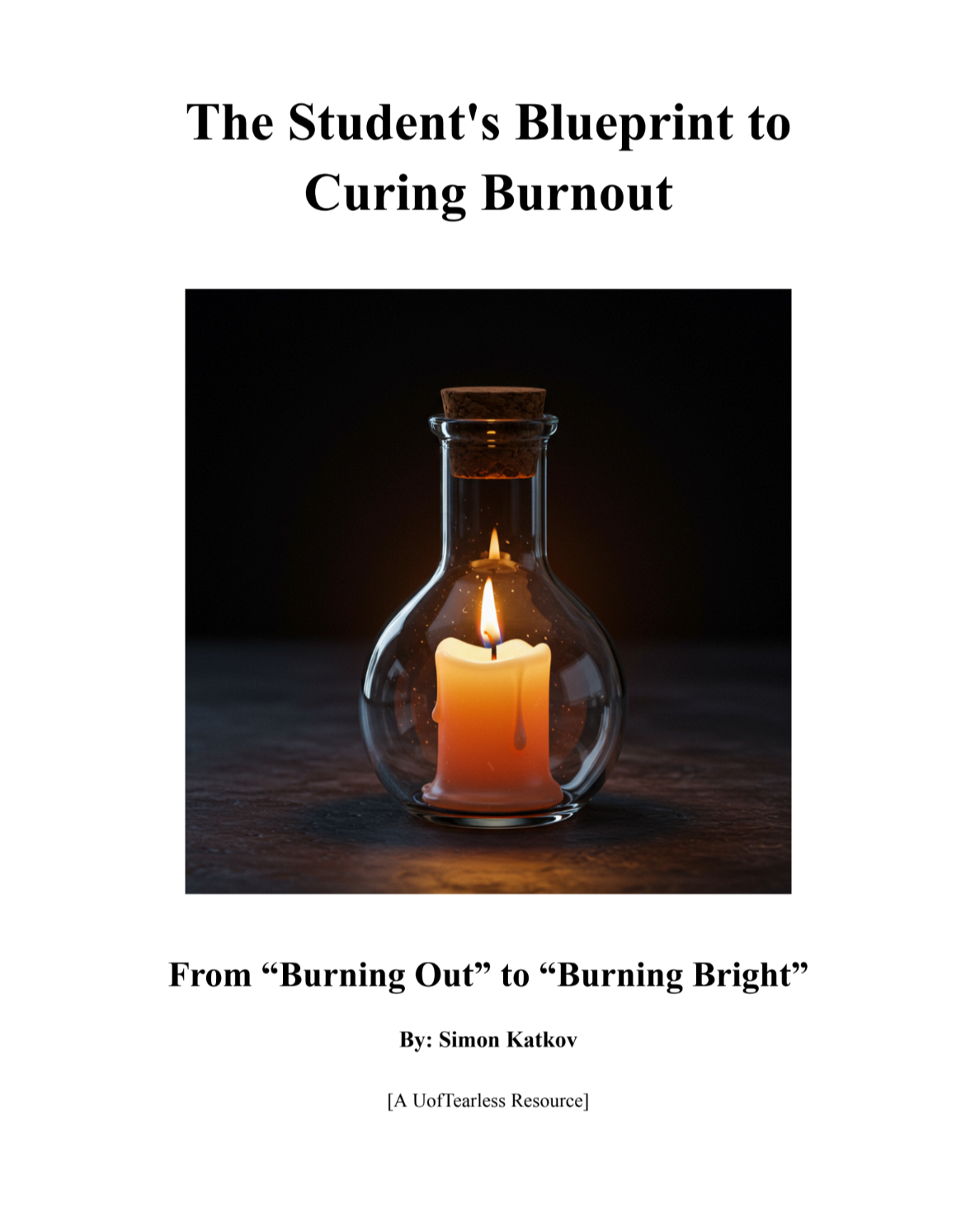 The Burnout Cure Blueprint